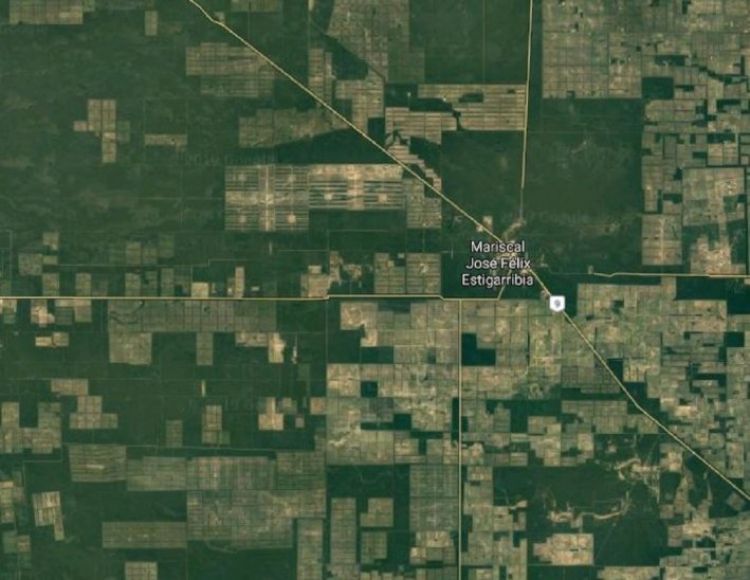Confirman cuatro fallecidos en estancia del Chaco