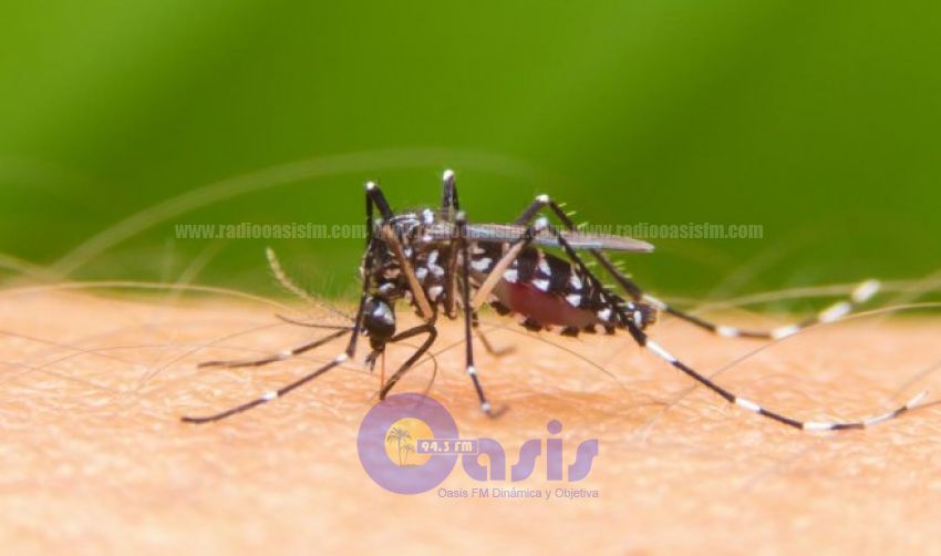 Sospechan de muerte por dengue de joven