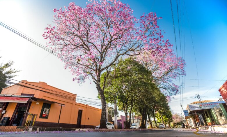Lunes fresco a caluroso y lluvias a partir del miércoles