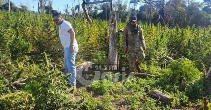 Senad amplía ofensiva contra estructuras de tráfico en parques nacionales