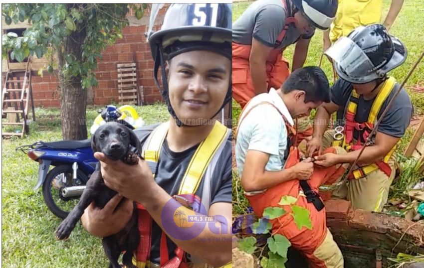 Bomberos  Amarillo  de Pedro Juan rescatan a cachorro que cayó a un pozo
