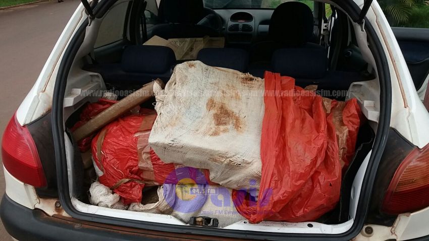Incautan casi 200kg de marihuana
