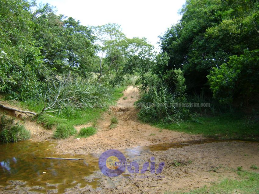 Ganaderos fueron emboscados y heridos en zona de Cap.Bado