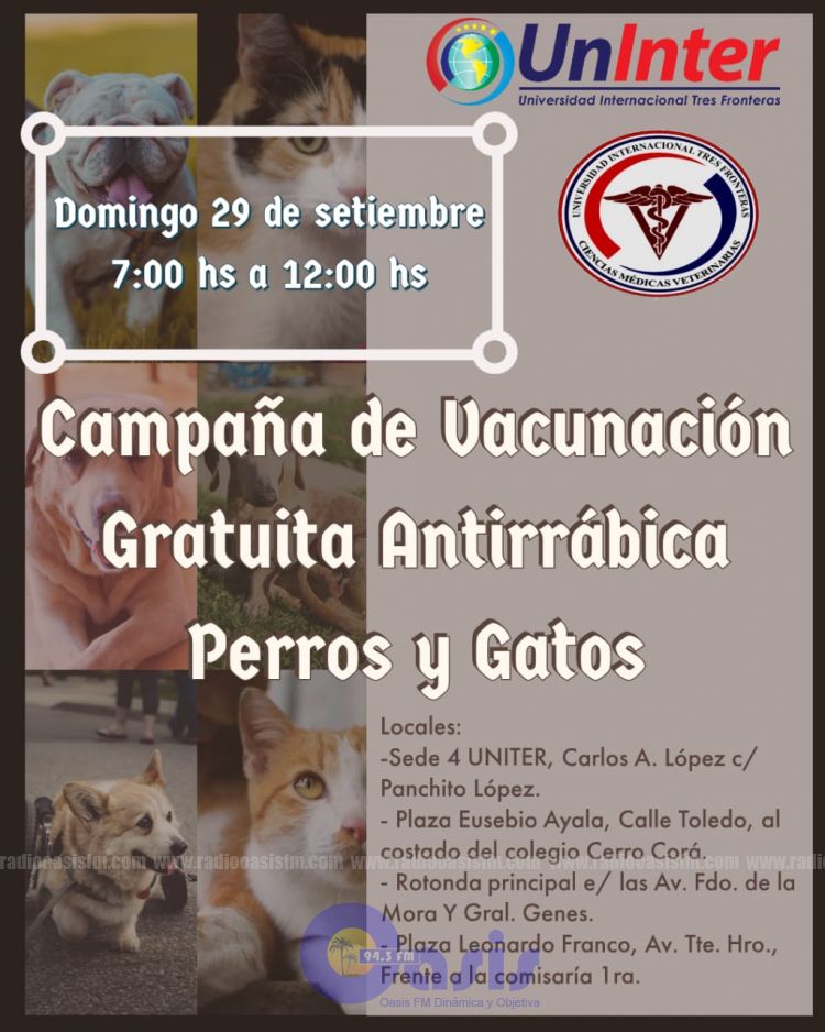 Alumnos de veterinaria realizarán vacunación gratuita a perros y gatos en Pedro Juan