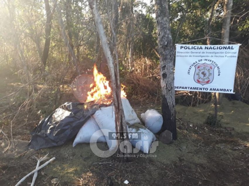 Incineran 10.000 kilos de marihuana en un establecimiento rural