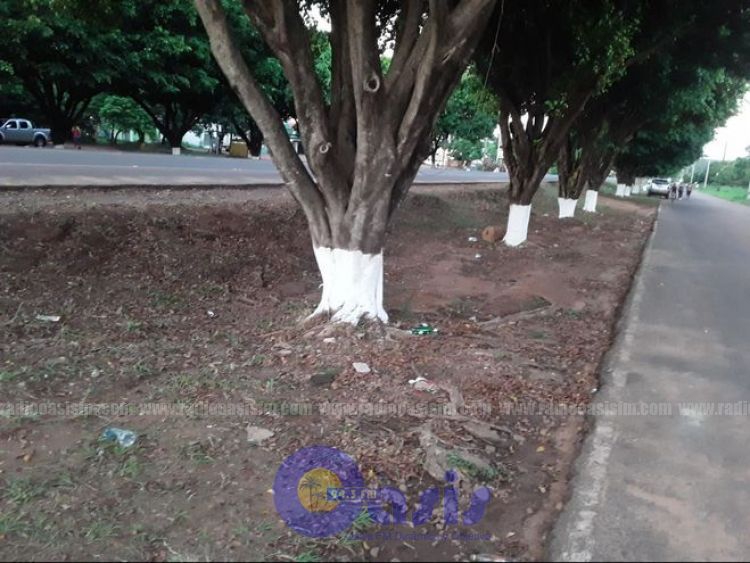 En Horqueta aplicarán multas a quienes no eliminen criaderos de dengue