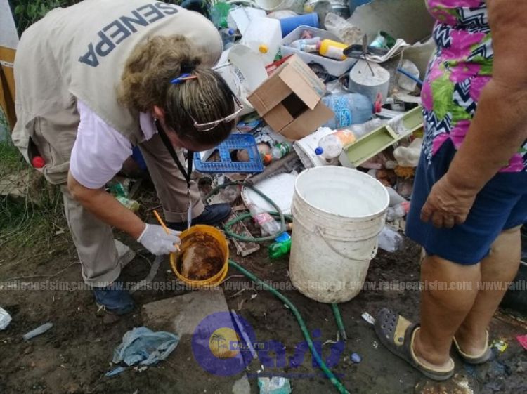 Salud reporta 46 fallecidos por dengue y anuncia descenso de casos