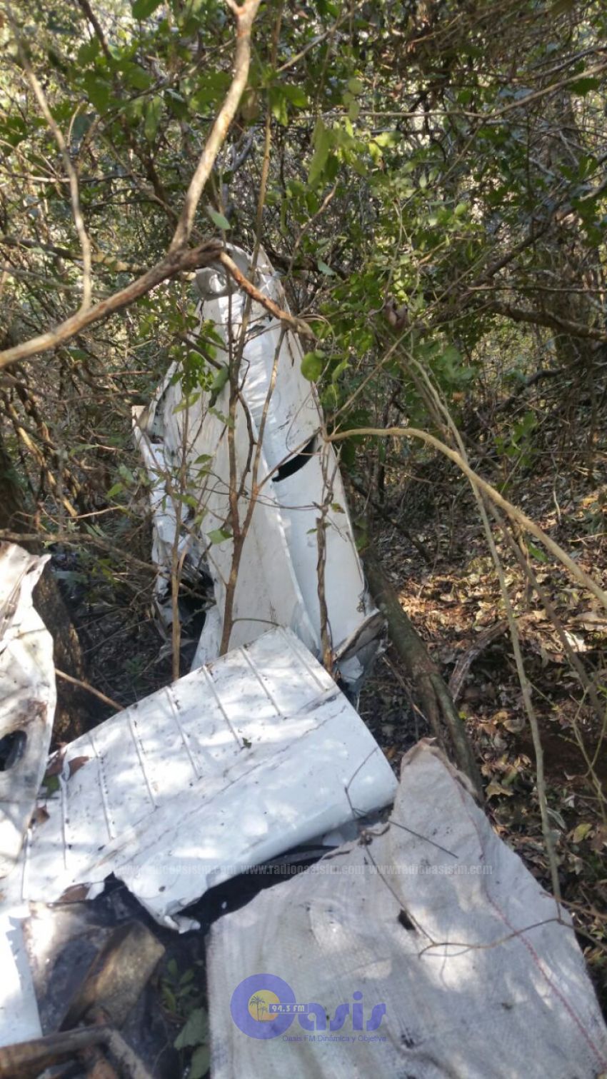 Cae una narcoavioneta en zona de Bado