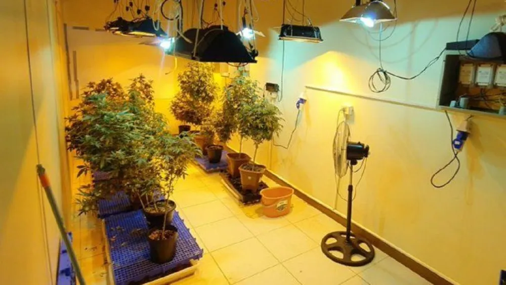 Marihuana Vip: Acusados reciben condenas de entre 2 a 10 años de prisión
