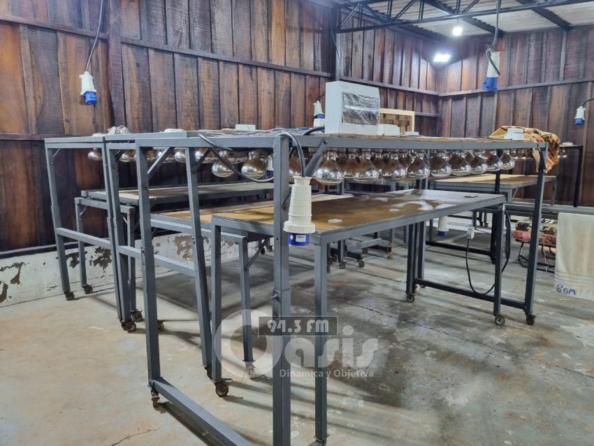 Laboratorio de cocaína made in Paraguay, apuntan a conocido político