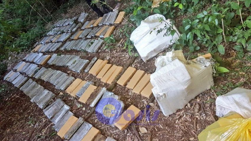 Hallan carga de 351 kilos de marihuana