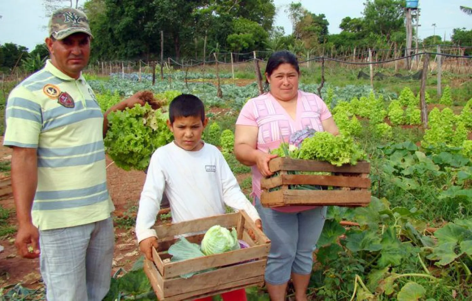 “Jepytaso”: nuevo programa de créditos para productores rurales