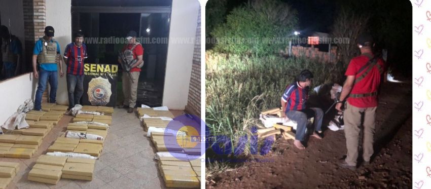 Senad detiene a una persona con 266 kilos de marihuana en Pedro Juan