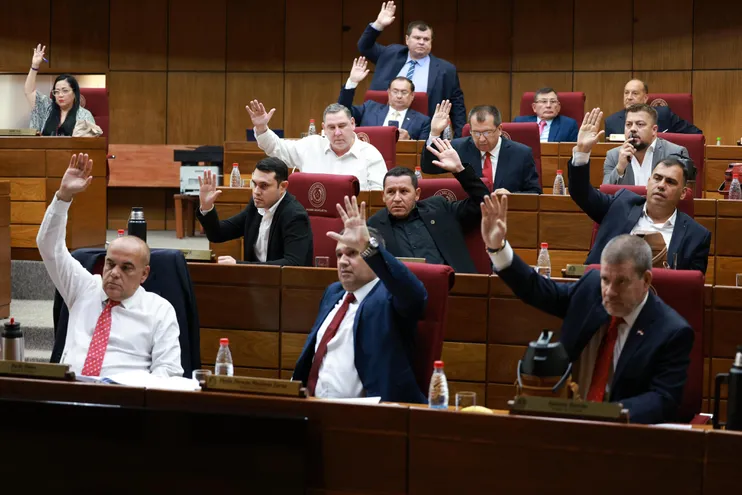 Kattya González fue expulsada del Senado: estos son los senadores que votaron a favor