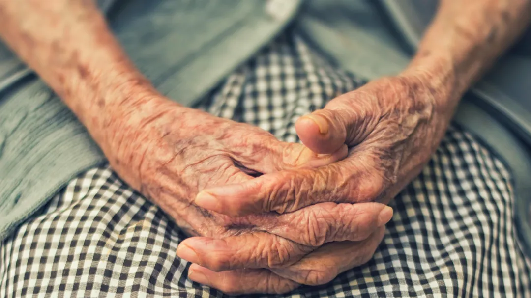 Pensión para adultos mayores: cómo inscribirse y todo lo que debés saber al respecto