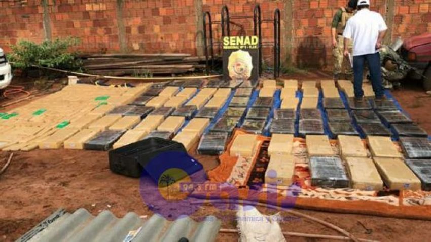 Senad decomisa 1.000 kilos de marihuana en Capitán Bado