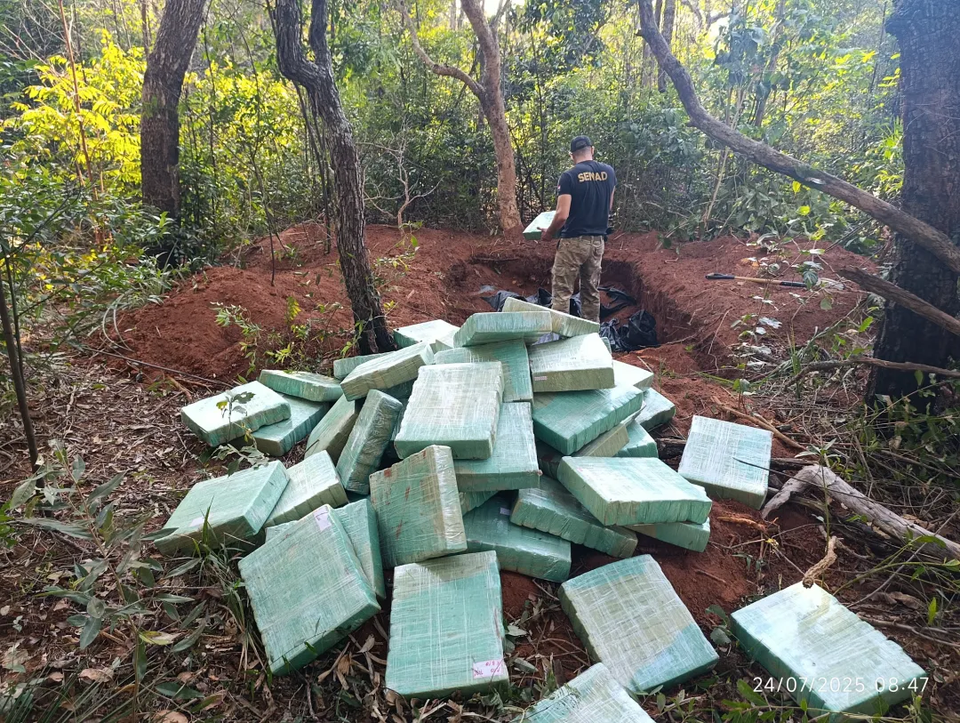 Operativo en Santa Clara deja casi dos toneladas de marihuana incautadas