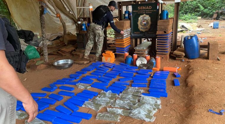 Desmantelan complejo criminal de producción de marihuana en Canindeyú