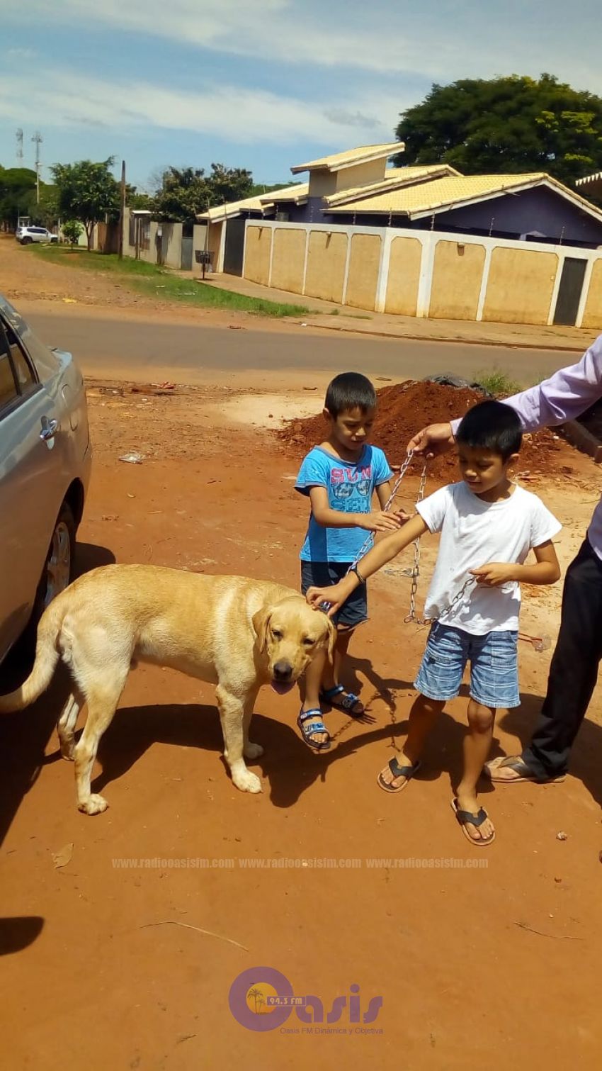 Recuperan a perrito perdido gracias a publicación hecho por Radio Oasis