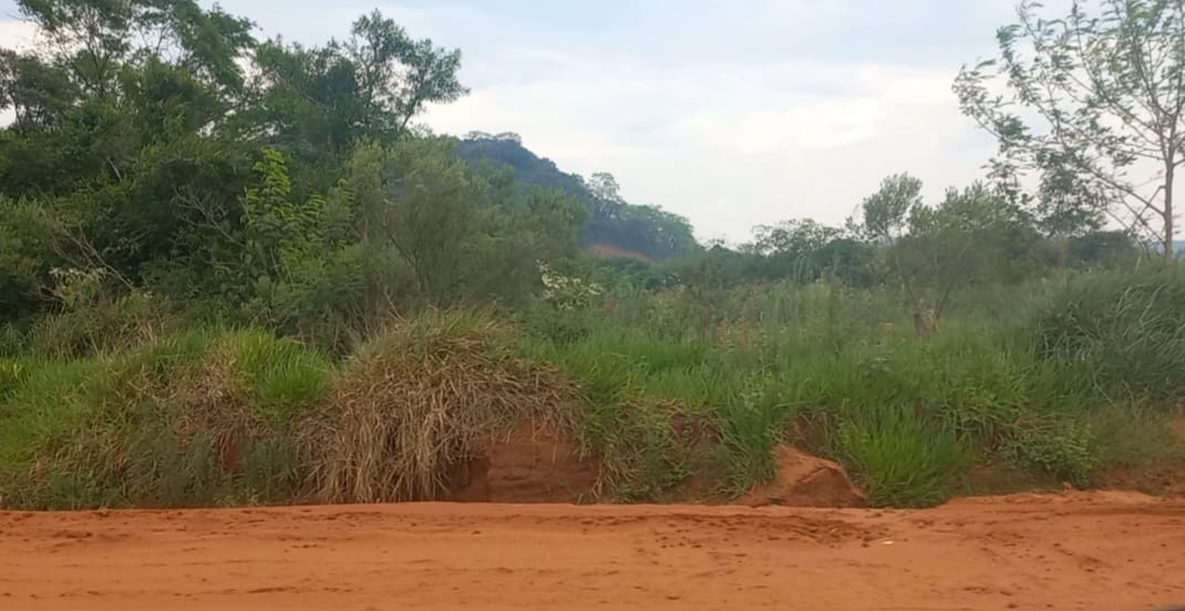 Investigan supuesta caída de una avioneta en zona de Zanja Pyta