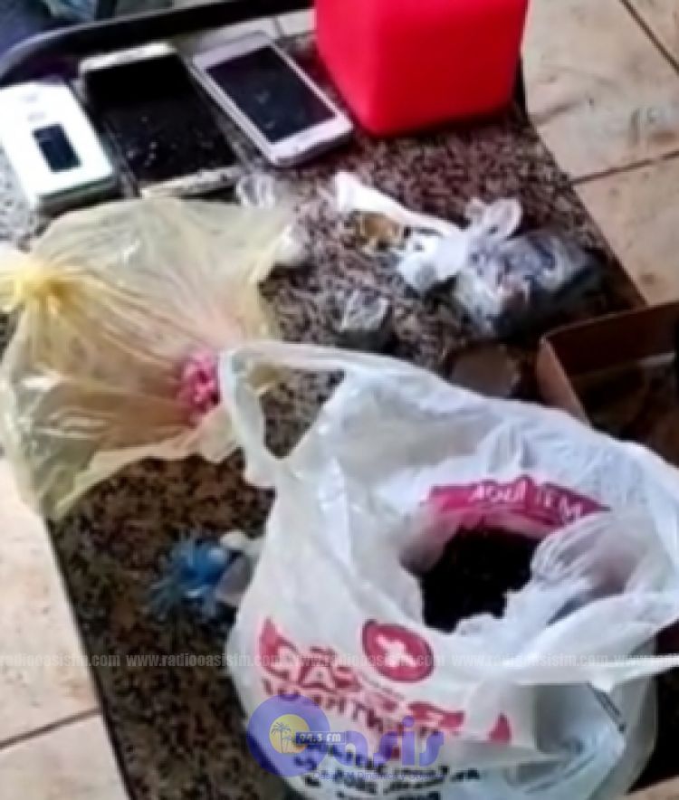 Durante un allanamiento para rescatar animales se encontró drogas en una casa en Pedro Juan