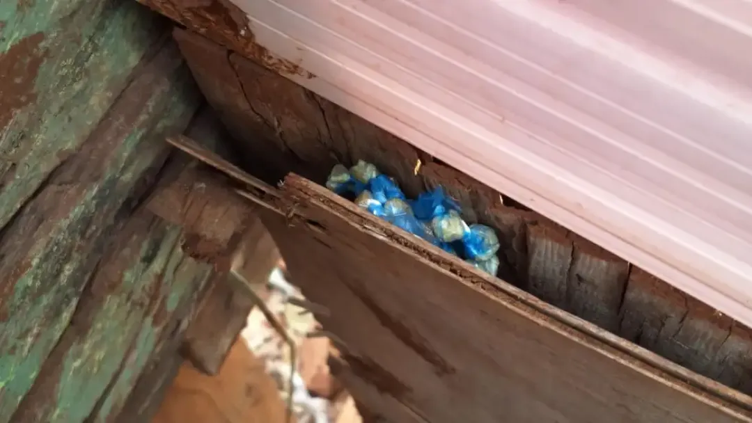 Allanamientos en viviendas de PJC deriva en la detención de supuestos microtraficantes