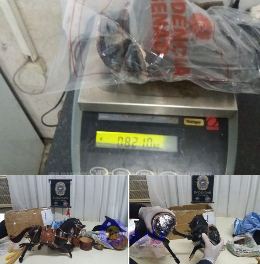 DETECTAN COCANA OCULTA EN UN CABALLO DE MADERA