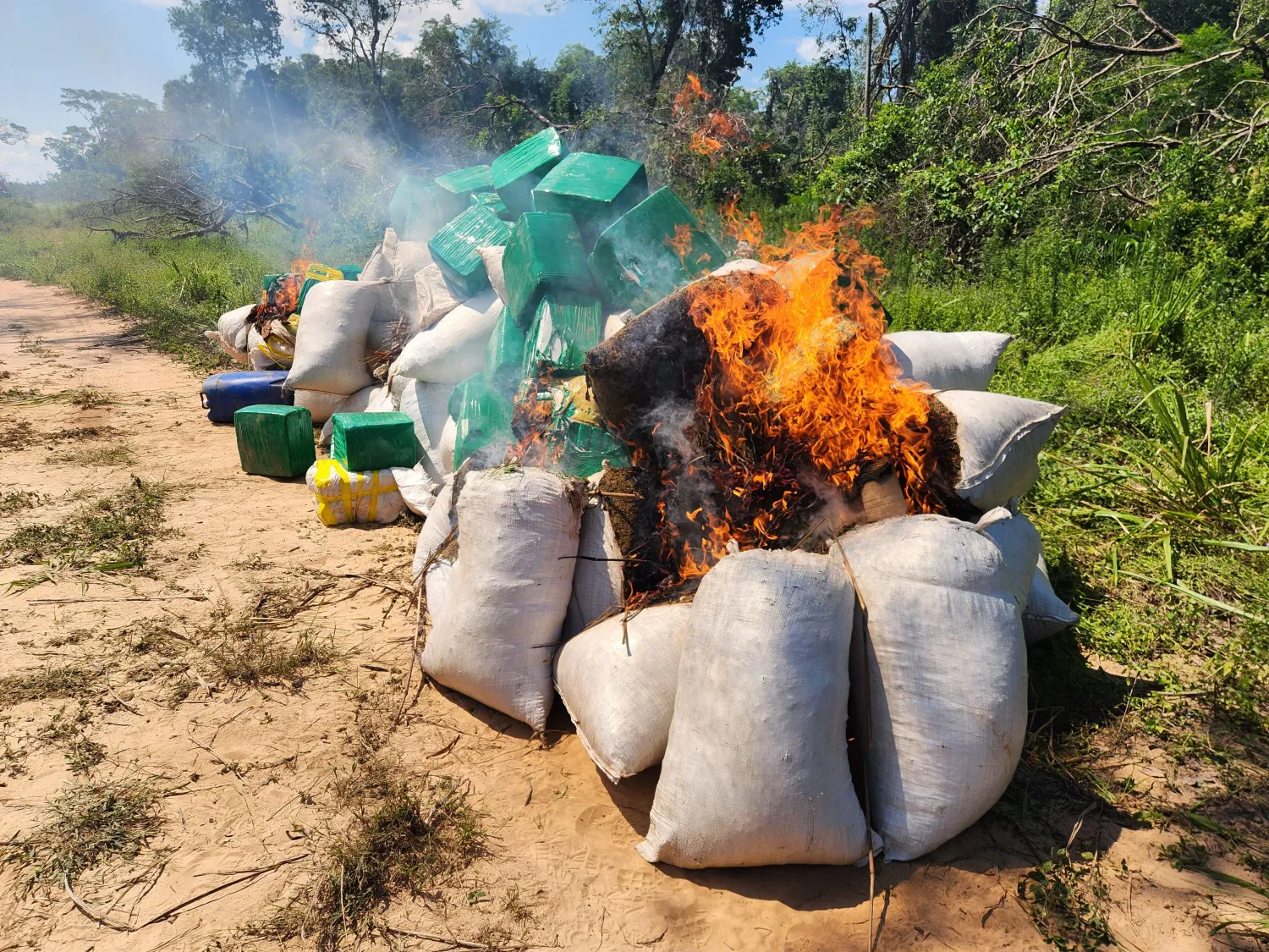 SENAD desmantela gran centro de producción de marihuana y destruye casi 8 toneladas en Yby Yaú