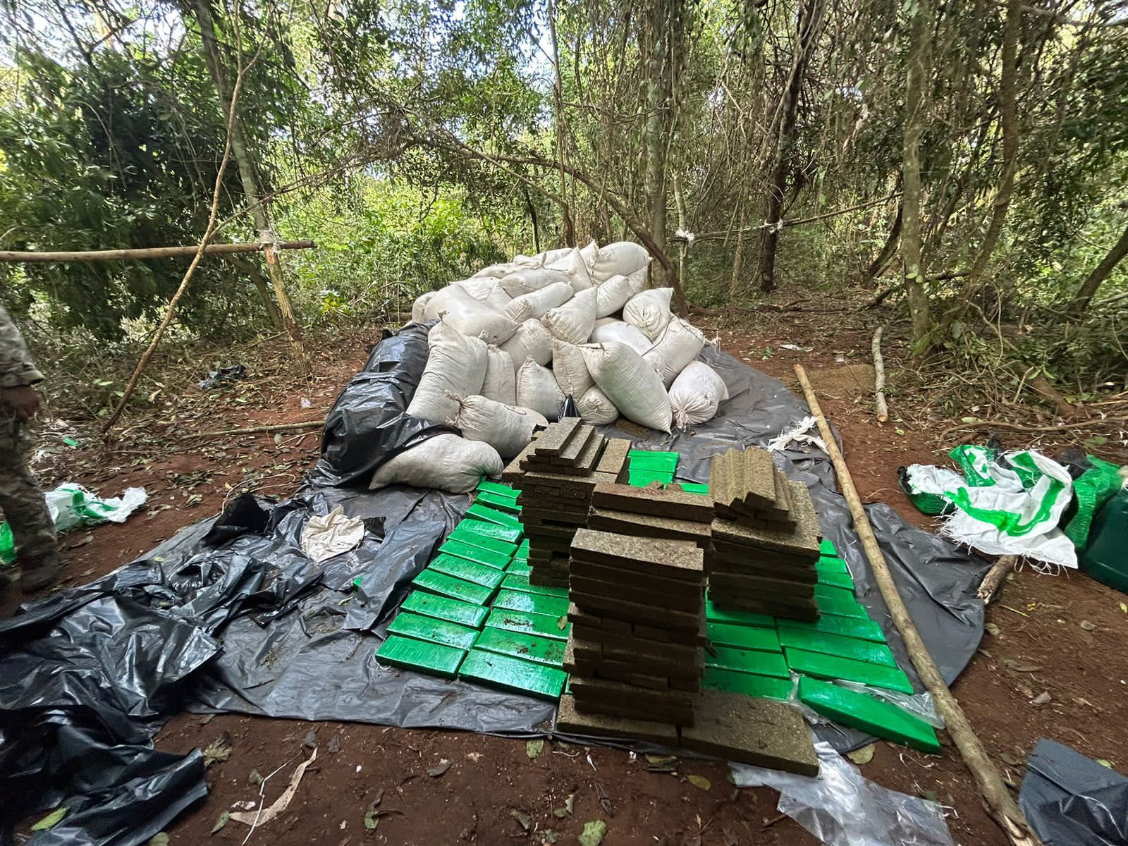 Senad allana establecimiento rural y destruye 30 toneladas de marihuana