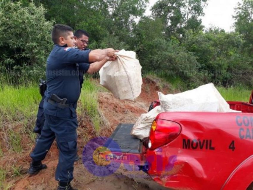 Abandonan 505 kilos de marihuana en un camino vecinal de Bado