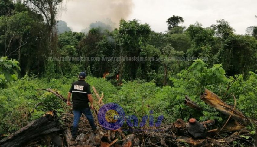 Paraguay, Argentina y Brasil analizarán estrategias antidrogas conjuntas en Pedro Juan
