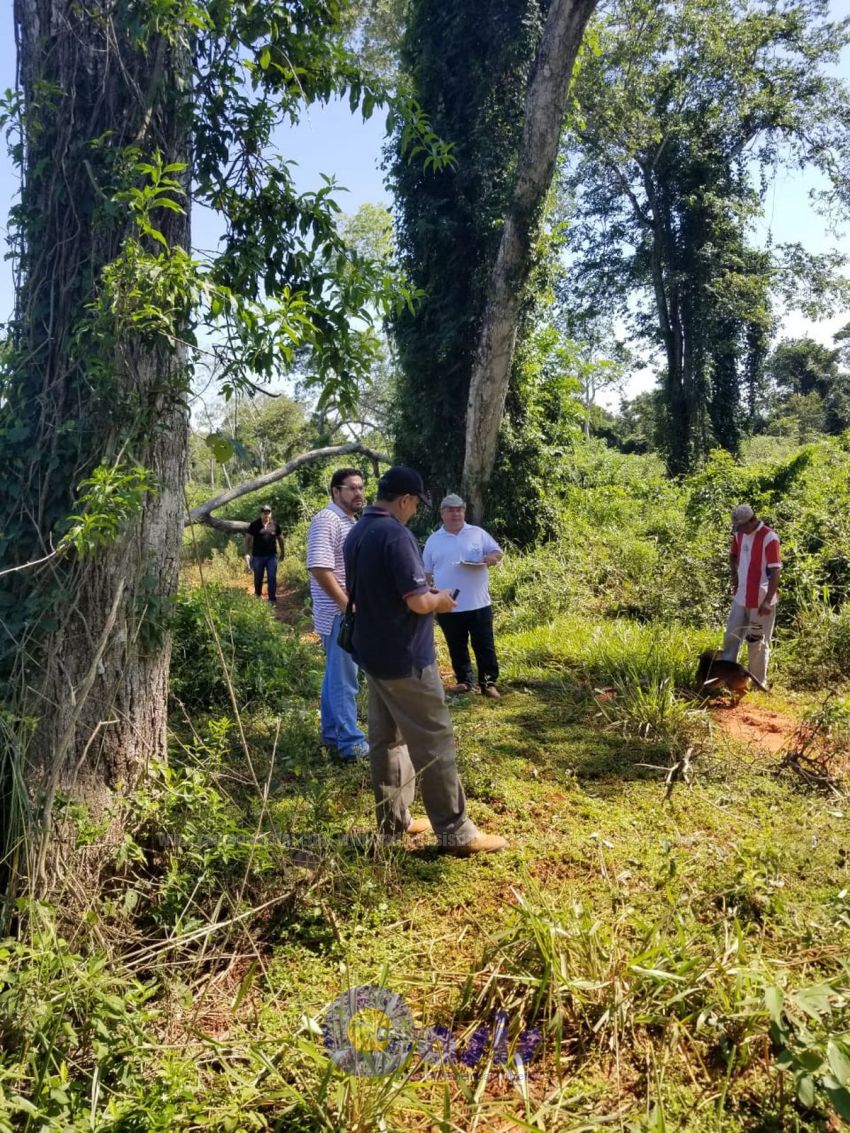 Constatan supuesta deforestación en Yby Yau