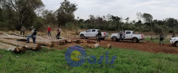 Traficantes de madera atacan a tiros a guardaparques y fiscalizadores en la Reserva del Parque San Rafael