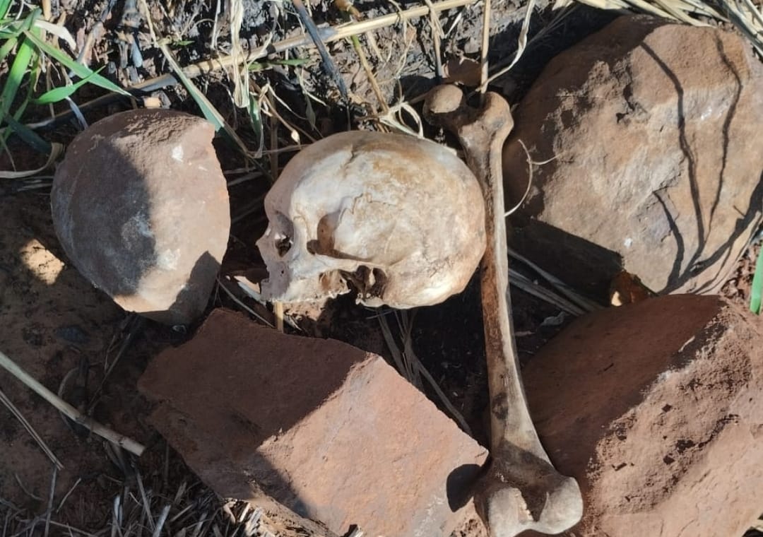 Tractorista halla restos óseos en una estancia