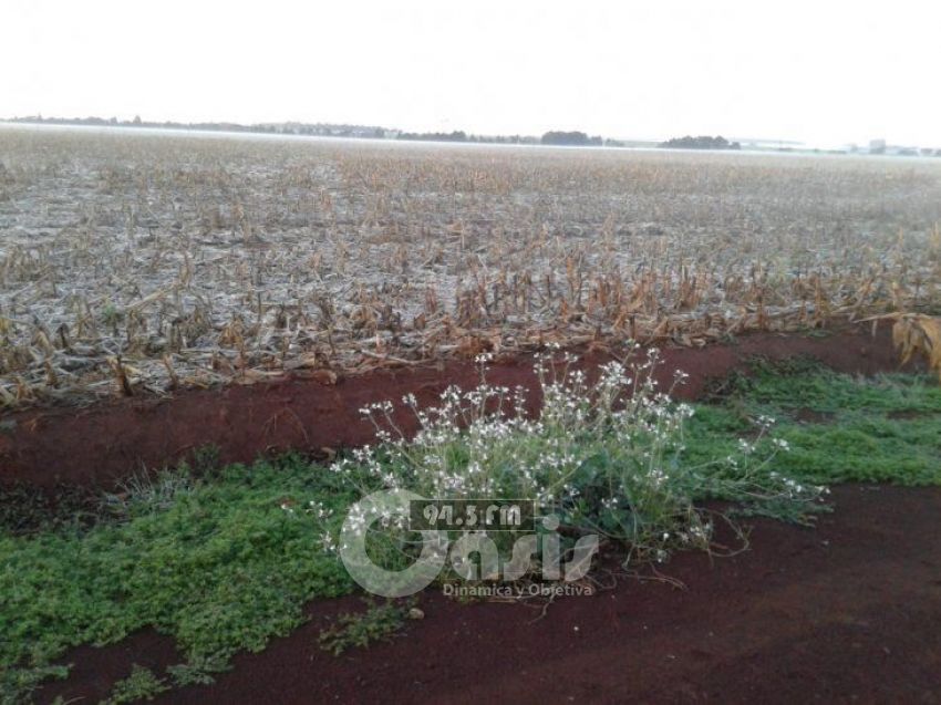Escarchas y sobreenfriamiento se anuncia para este jueves
