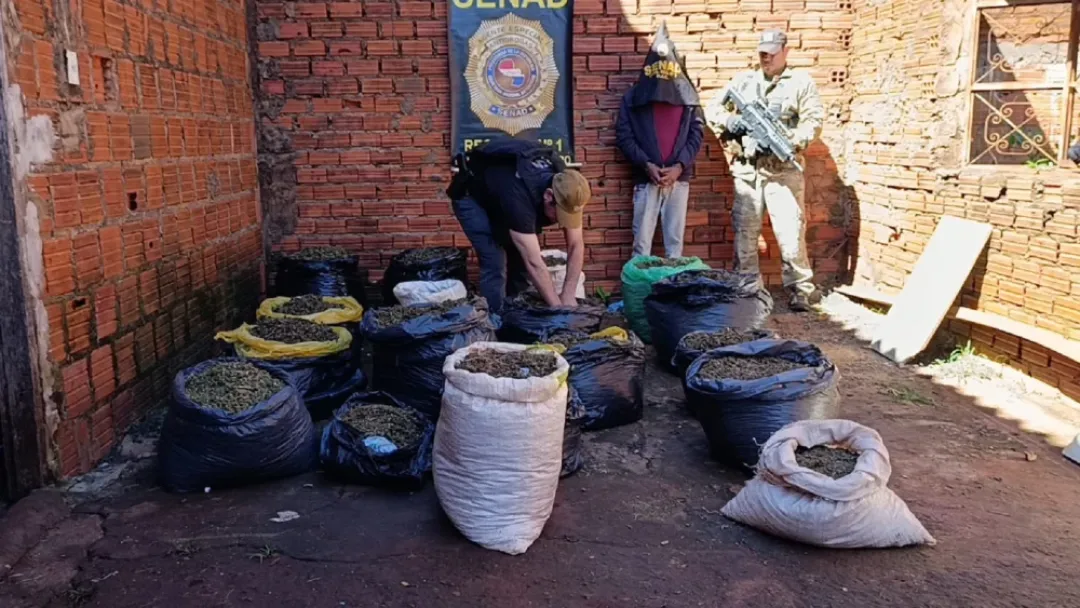 Hombre de 44 años es detenido con 158 kilos de marihuana tipo skunk en PJC