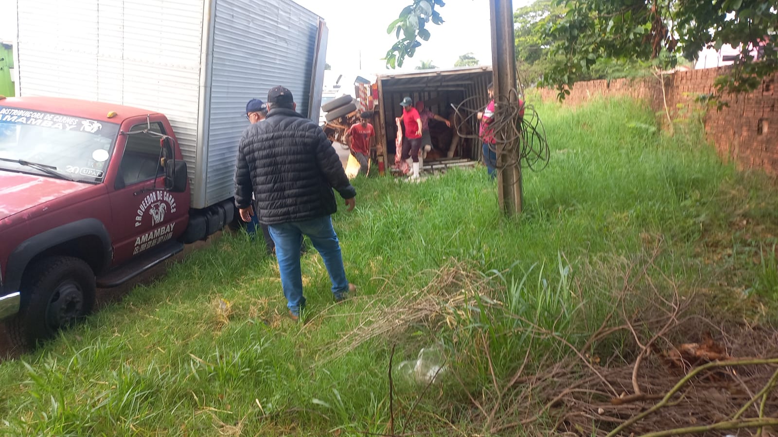 Camión proveedor de carne volcó a tempranas horas de esta mañana
