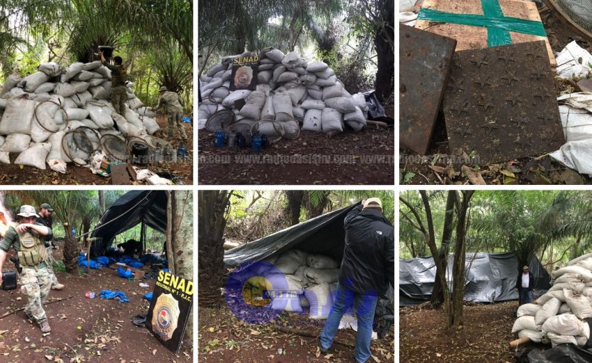 En allanamiento Senad destruyó  cinco tonelada de marihuana en PJC