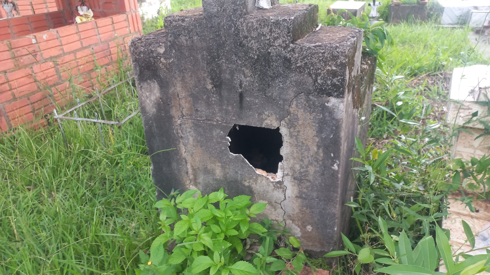 Bella Vista: Hallan feto dentro de un panteón