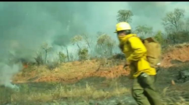 Preocupa incendios provocados en el Parque Nacional Cerro Cora