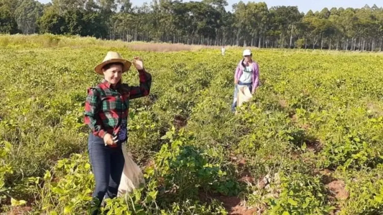 Más de 3.700 mujeres rurales fortalecen su liderazgo productivo con apoyo del IPTA