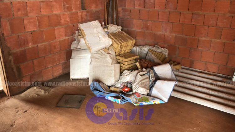Hallan marihuana en zona rural de Pedro Juan