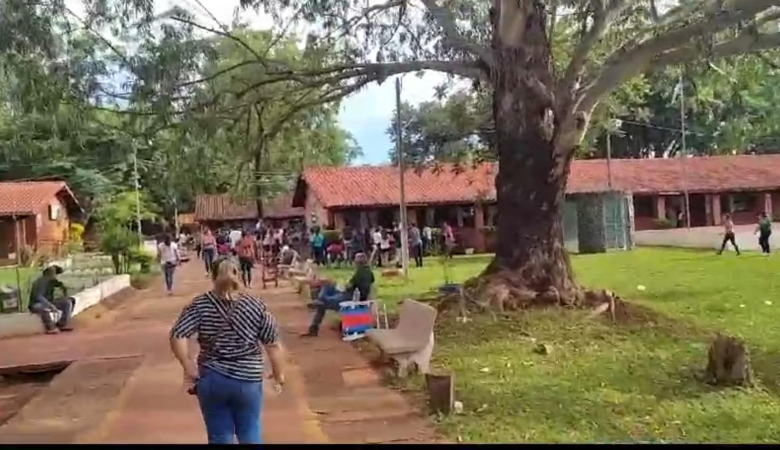 Conseguir lugar en el CRE: La odisea de cada año que atraviesan los padres