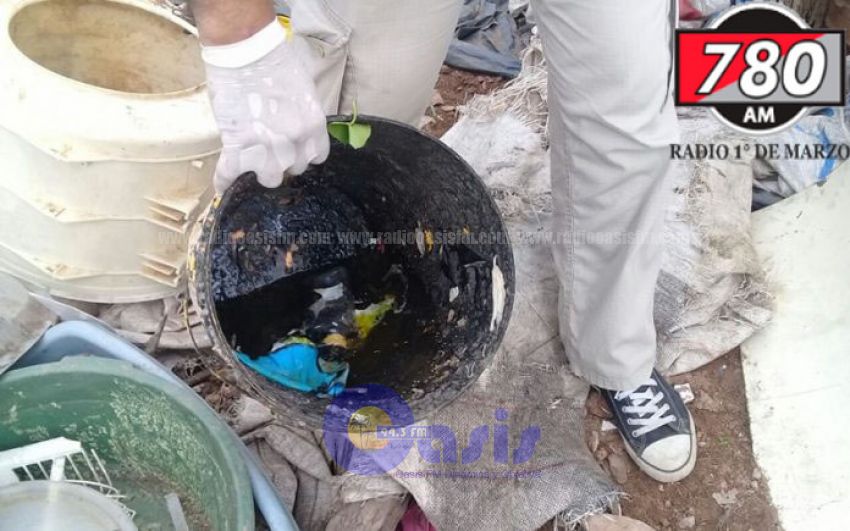 Dengue: Central y Guair en "zona roja" por altos ndices de infestacin