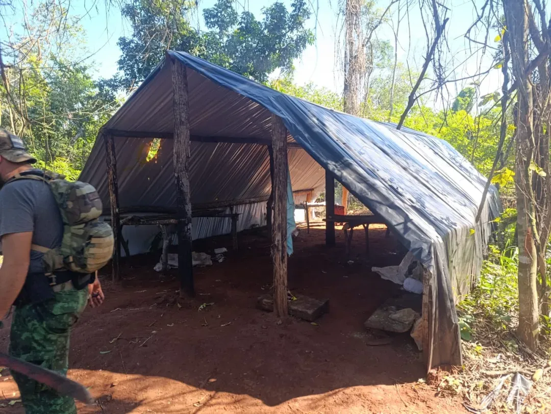Nuevo golpe al narcotráfico: 230 toneladas de marihuana anuladas en Amambay