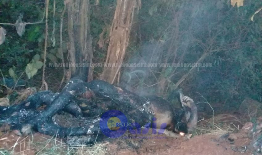 Hallan dos cadáveres calcinados en Alto Paraná