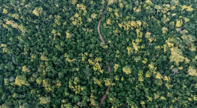 Celebran el 32 aniversario de la creación de la Reserva Natural Mbaracayú