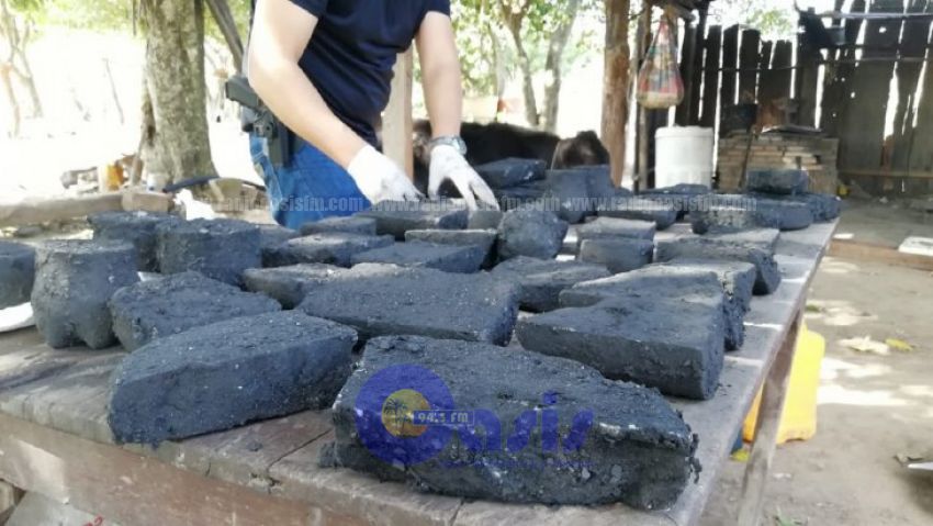 Desmantelan laboratorio de procesamiento de cocaína