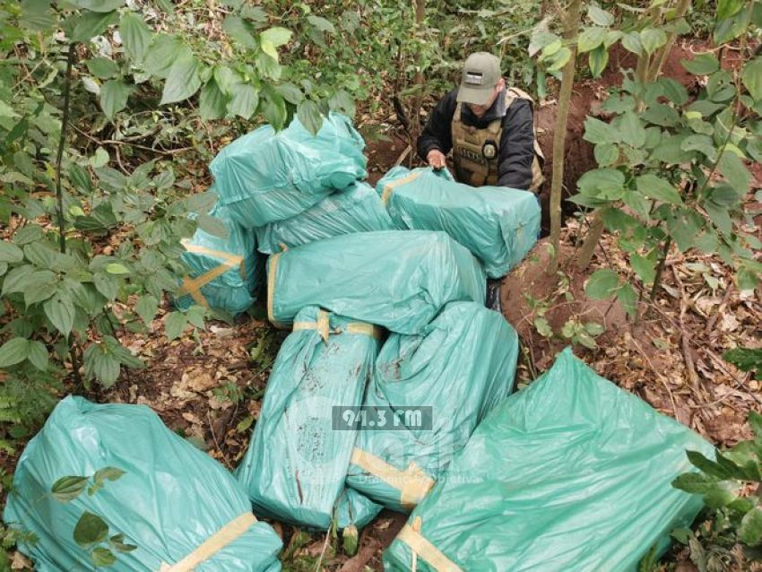 Encuentran casi 350 kilos de marihuana prensada dentro de una fosa en Yby Yaú
