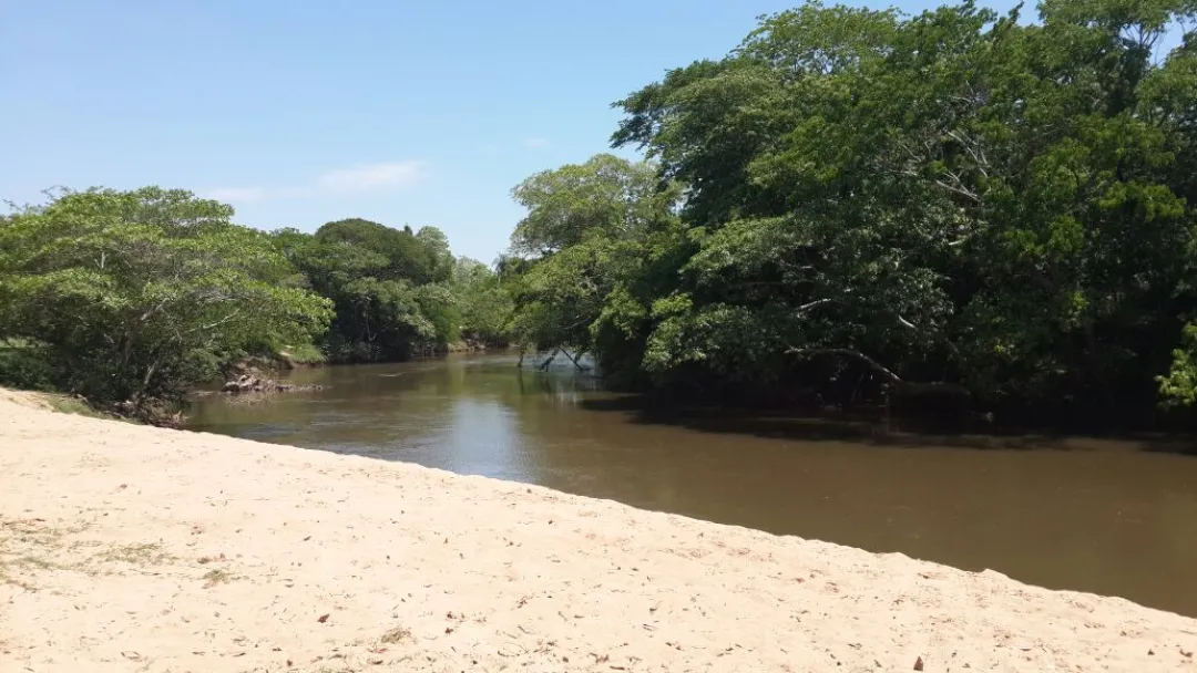 Un cadaver fue encontrado en el río Apa